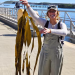 Noontime Talk: Maine Seaweed&nbsp;Week