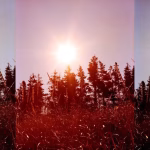 Noontime Artist Talk: Shane Charles discusses Into the Sun