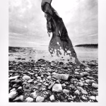 Noontime Artist Talk with Eve Biddle